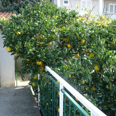 Zulic Apartament Cavtat