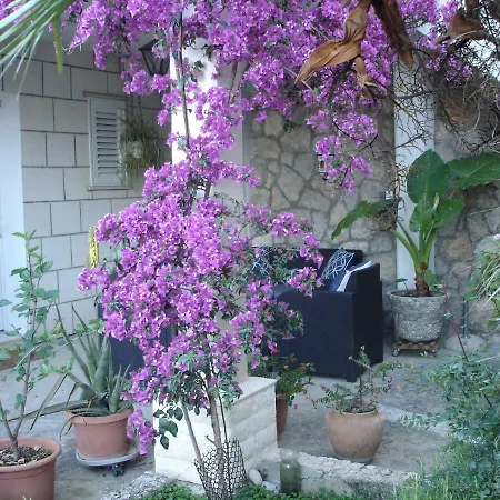 Zulic Apartament *