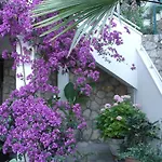 Apartament Zulic *