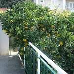 Zulic Apartament Cavtat