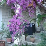 Zulic Apartment *