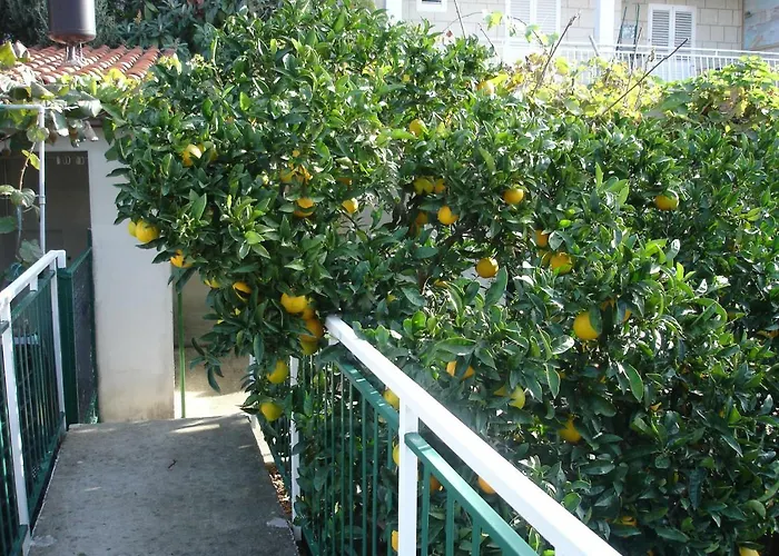 Zulic Appartement Cavtat