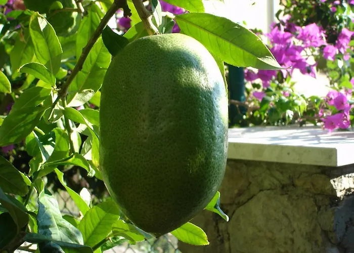 Appartement Zulic Cavtat