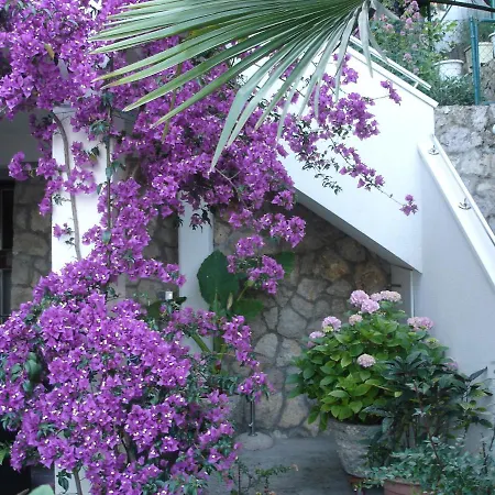 Apartment Zulic *
